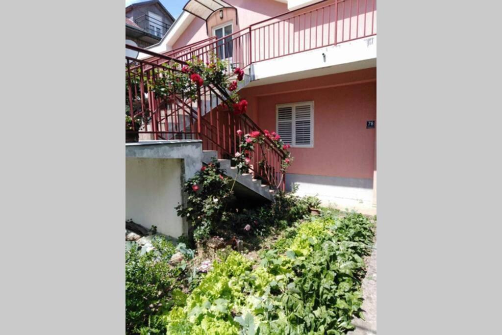 Apartman Danica 헤르섹 외부 사진