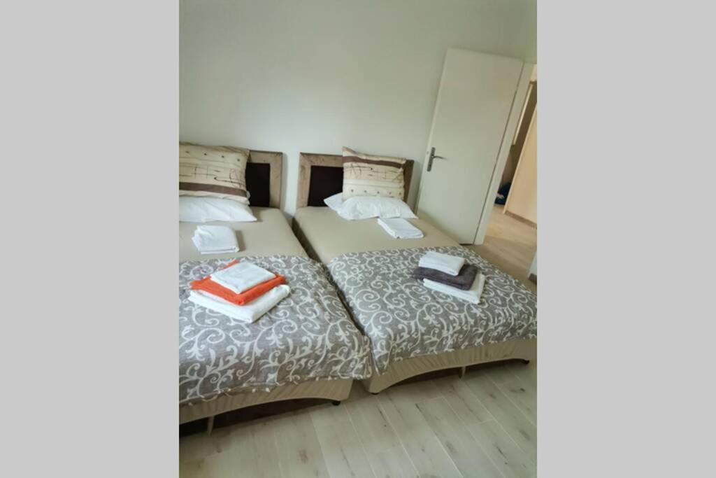 Apartman Danica 헤르섹 외부 사진